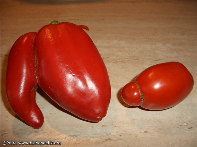 Фотонастроение