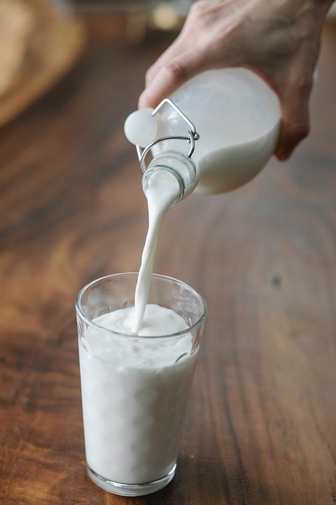 Как сохранить быстропортящееся молоко?