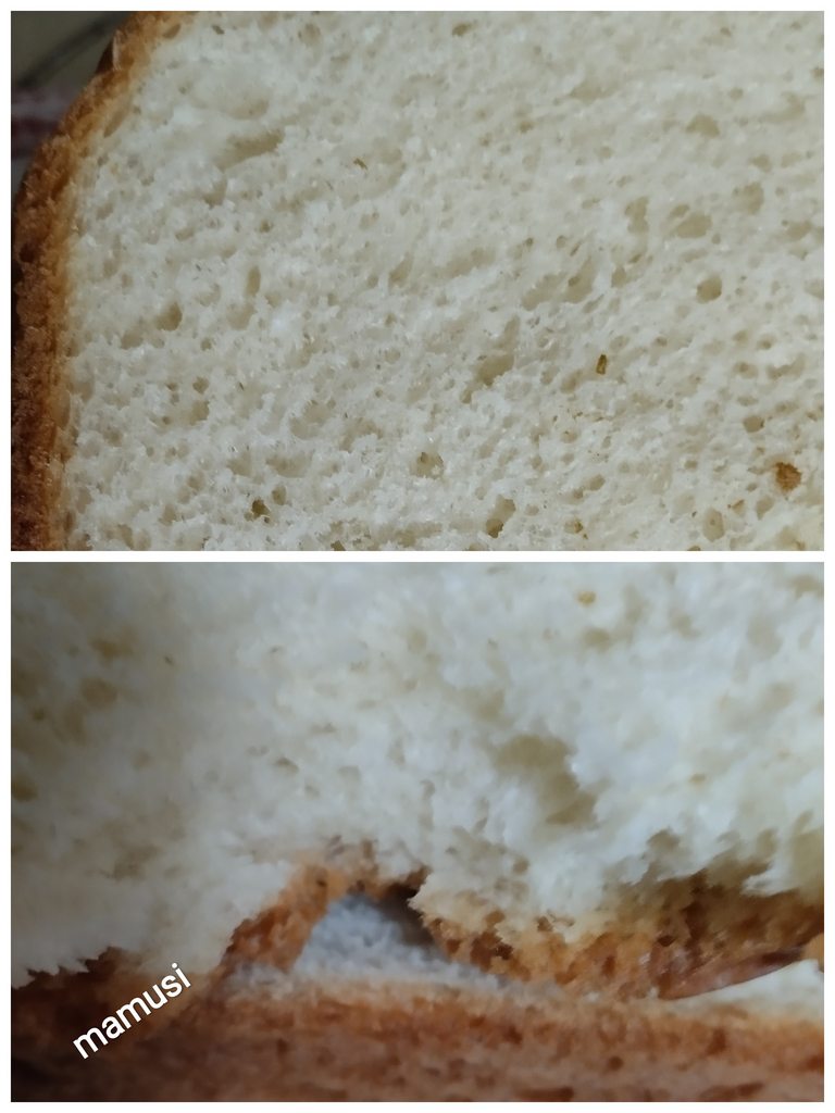 Сдобный хлеб с сыром в Marta-1784