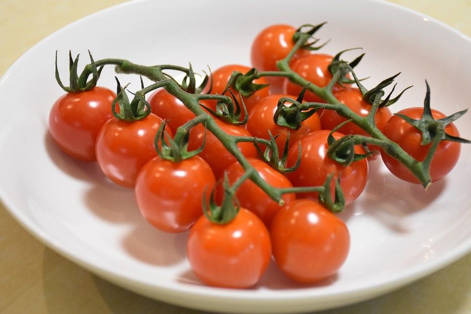 Про выращивание помидоров