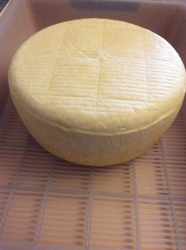 Применение ветчинницы для приготовления сыра