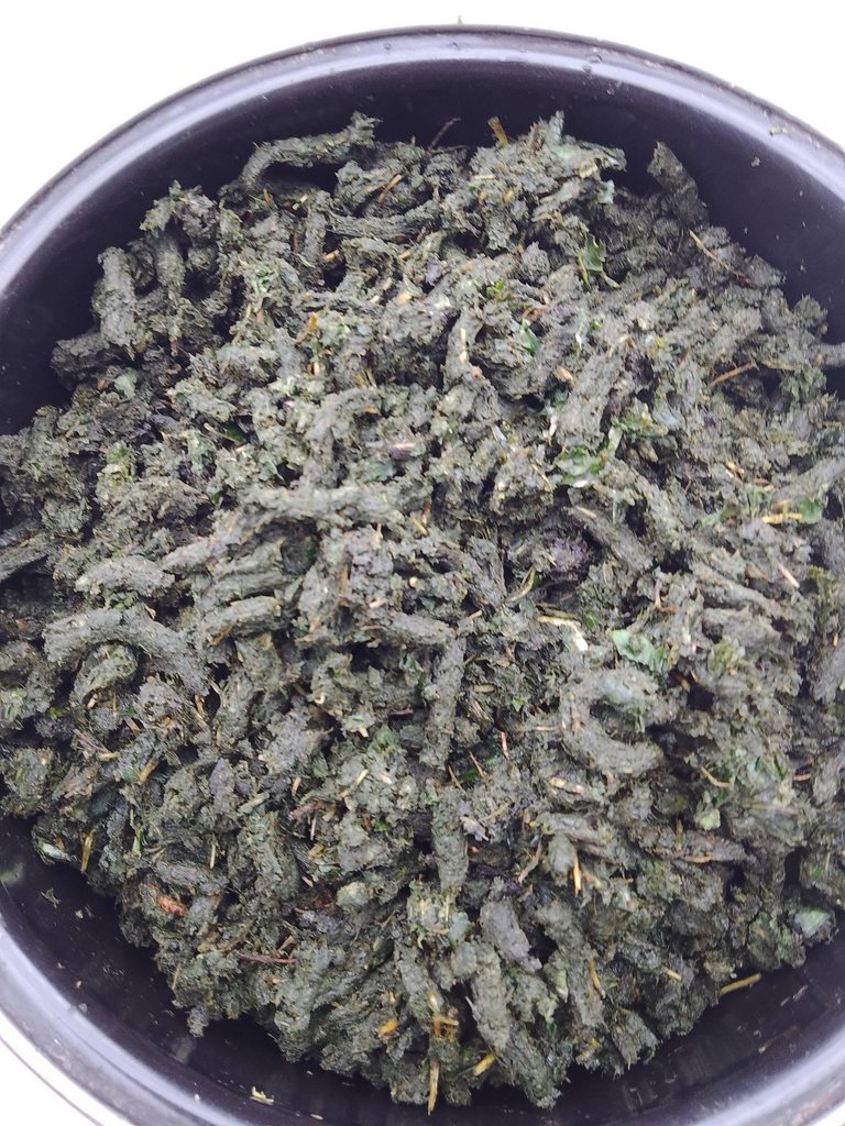 Ферментированный чай из листьев садовых и дикорастущих растений (мастер-класс)