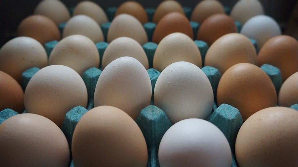 Зависит ли качество яиц от их размера?