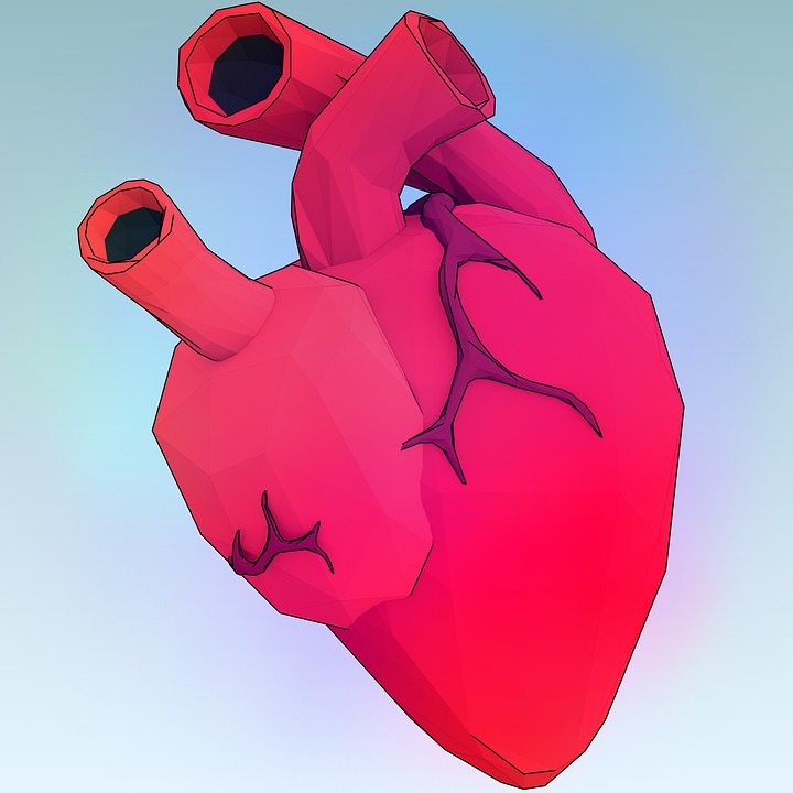 Заболевание сердечного клапана связано с серотонином