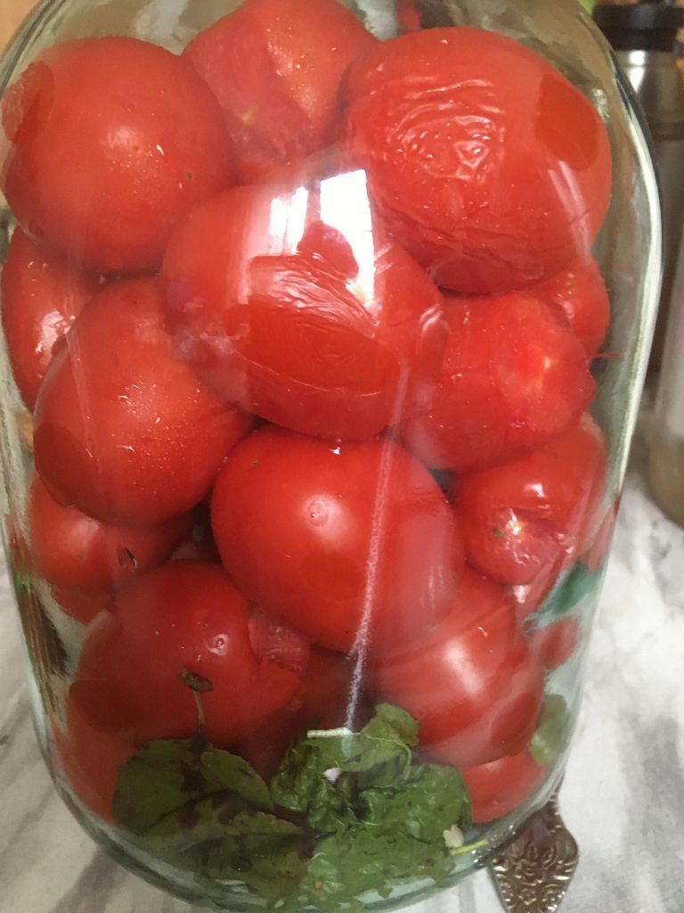 Вкусные помидоры от тети Нади