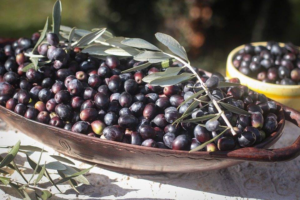 Побочный продукт оливкового масла может помочь в тренировках
