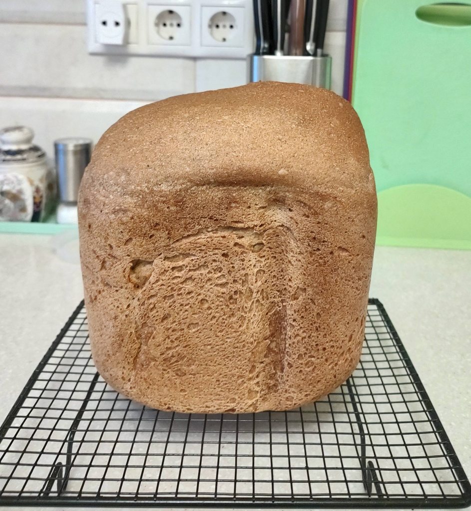 Приготовление закваски и дарницкого хлеба на ней в Panasonic SD-R2530 (+видео)
