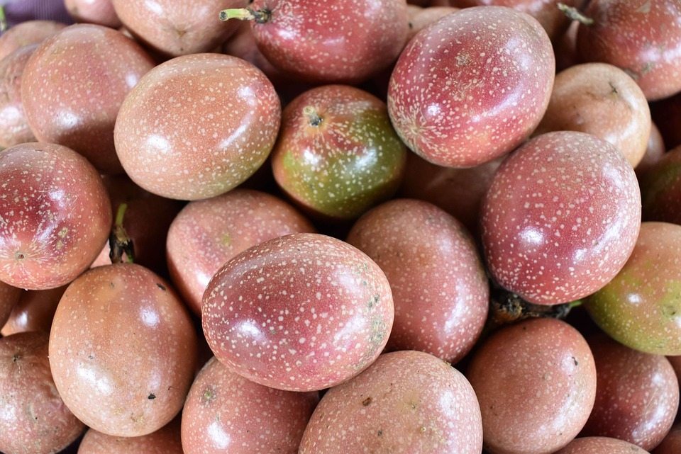 12 вкуснейших тропических фруктов