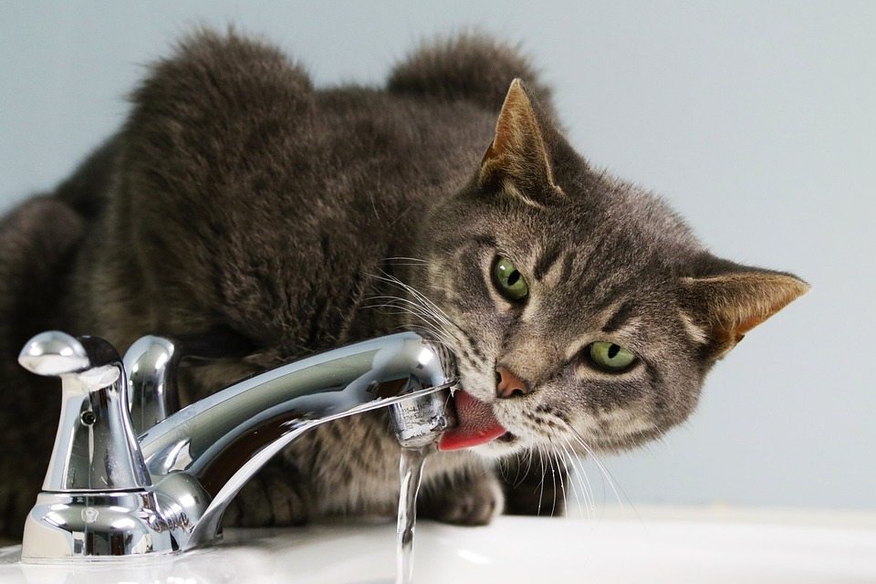 Резиновые уплотнители водопровода могут привести к попаданию добавок в питьевую воду