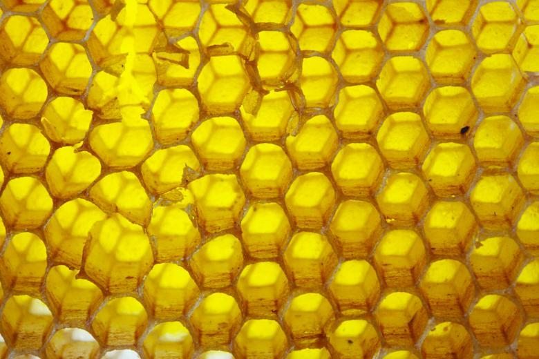 Мёд – какой может быть, свойства и применение в кулинарии и выпечке