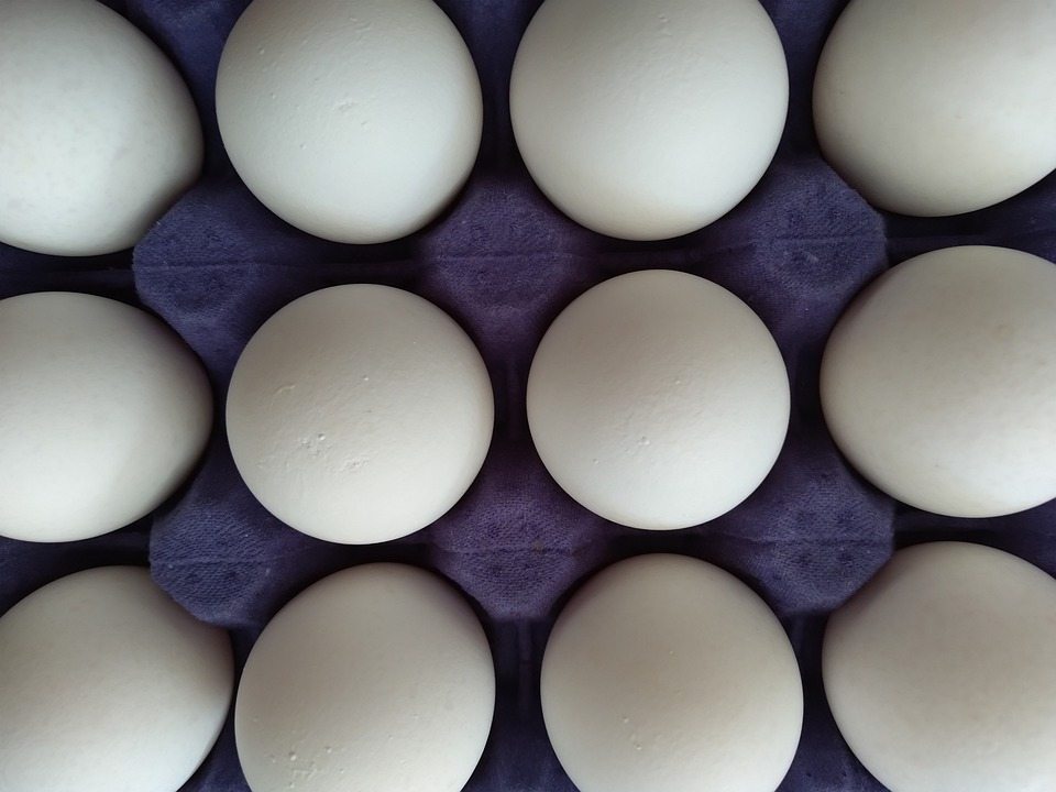 Зависит ли качество яиц от их размера?