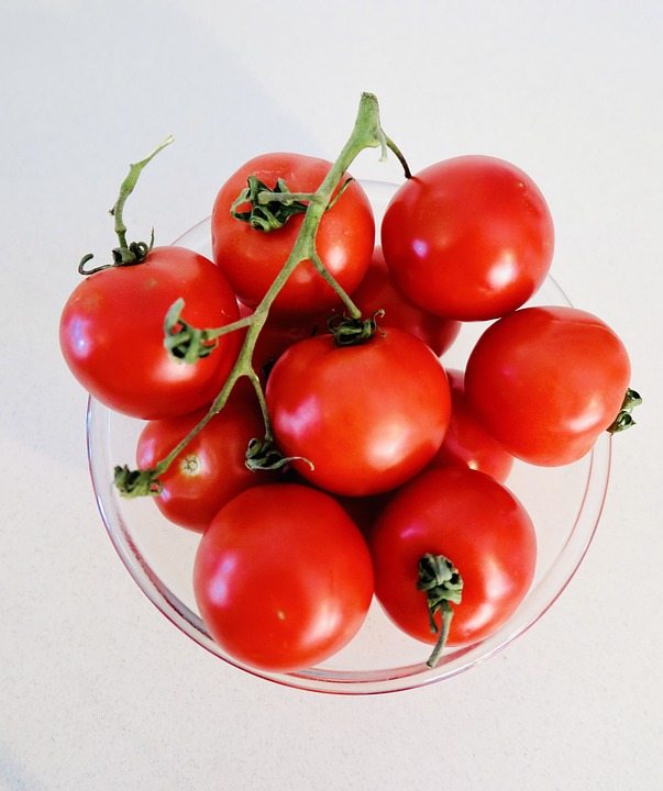 Выращивание томатов в городе и проблема загрязнения почвы свинцом