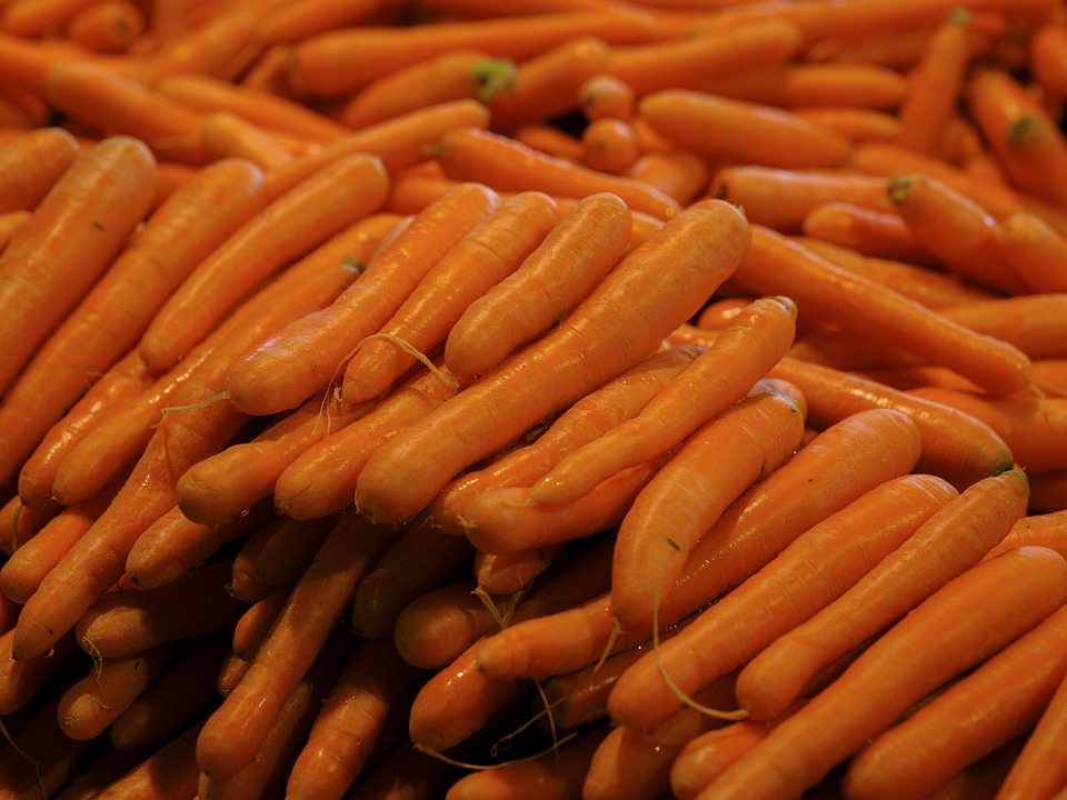 Морковь полезна для глаз... и для разлагаемых полимеров