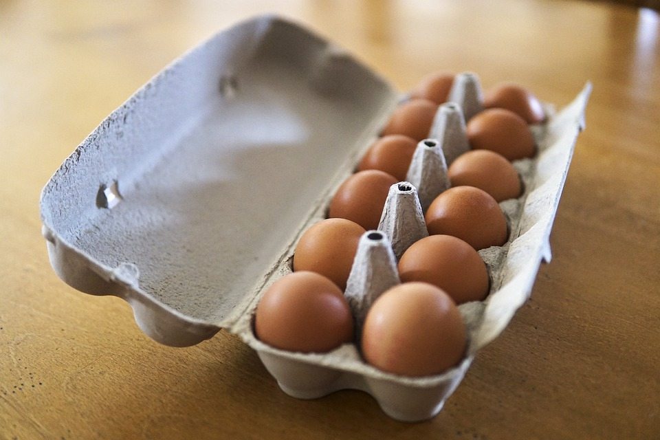 Используем контейнеры для яиц нестандартно