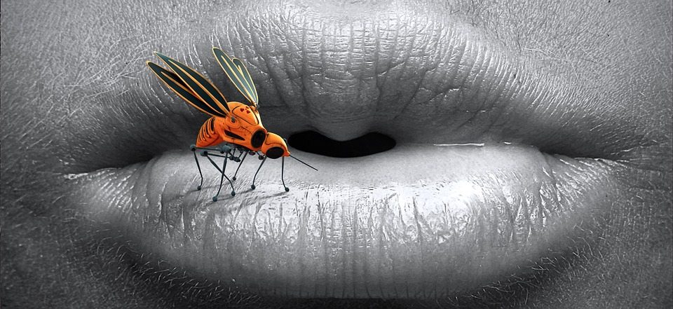 Этическая дилемма стоит ли избавляться от комаров