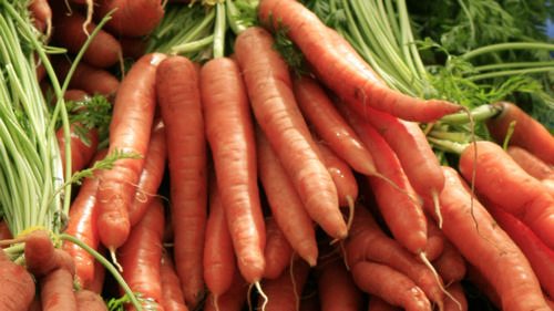 Советы по выращиванию моркови