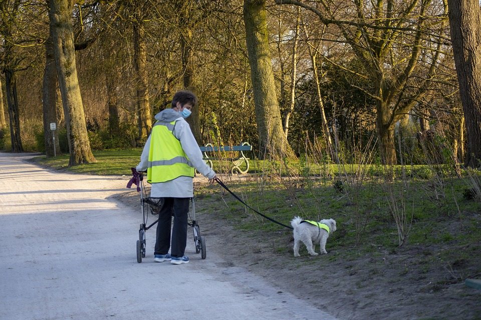 Выгул собаки на поводке связан с риском черепно-мозговой травмы у взрослых