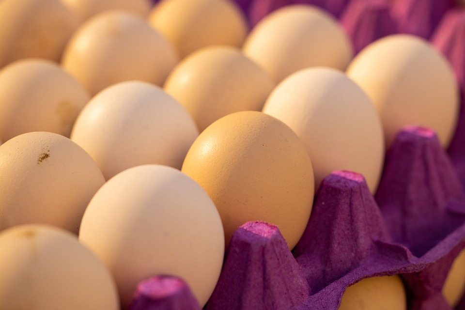 Как сохранять яйца максимально долго