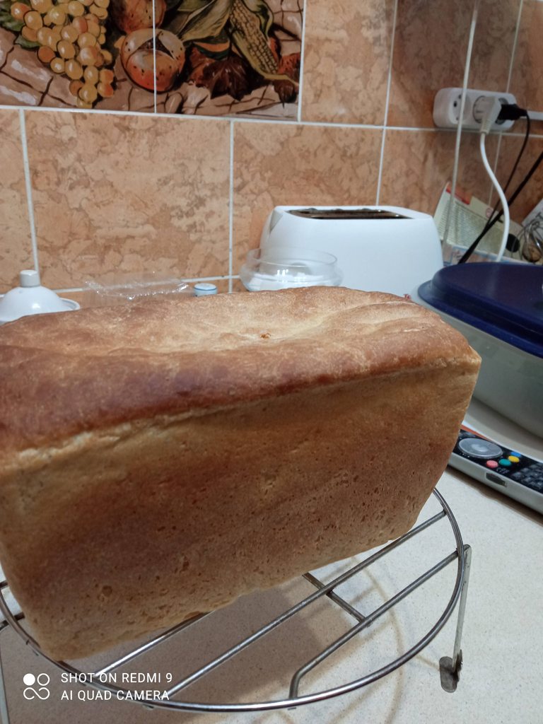 Хлеб амурский заливной