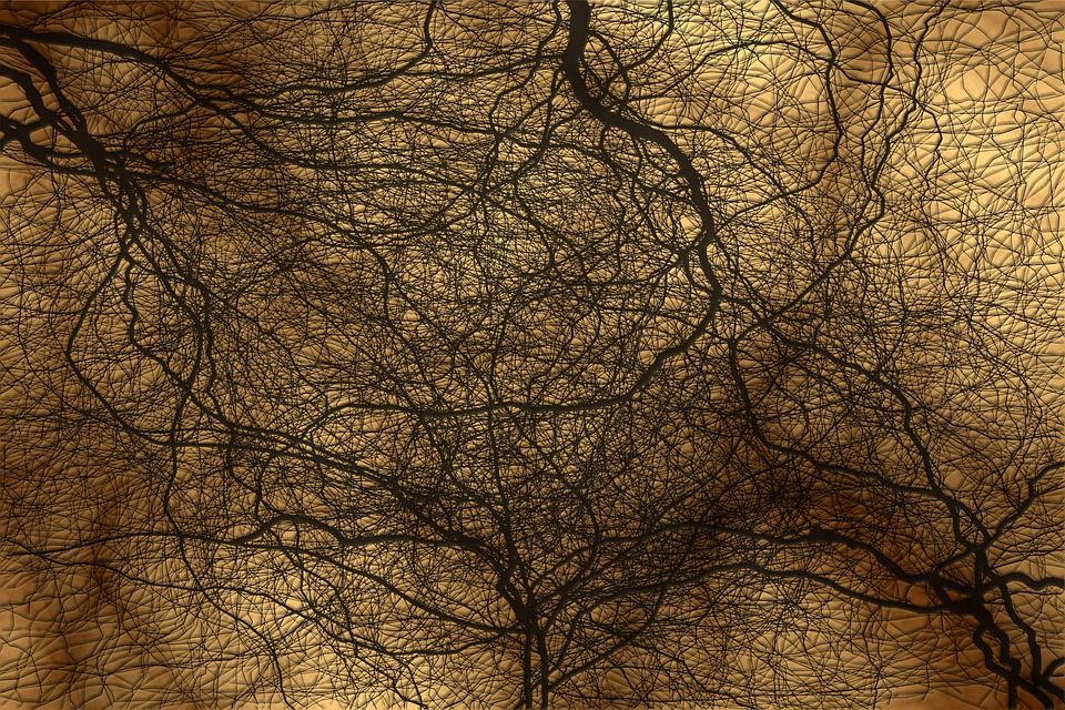 Как генерировать новые нейроны в мозгу