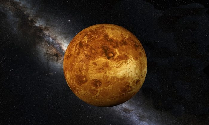Жизнь на Венере? Ученые ищут правду