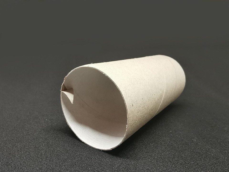 Как использовать втулки от туалетной бумаги