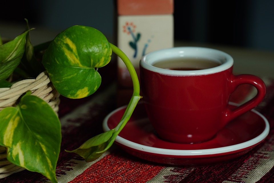 Почему чай лучше кофе для поддержания бодрости
