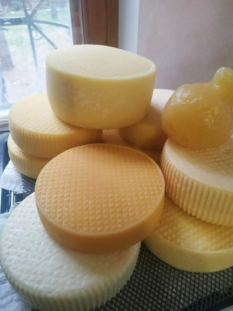 Сыр «Качотта» в Сыроварке Ariete 0615 B-Cheese