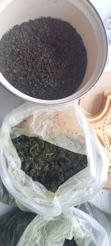 Иван-чай (ферментация листьев кипрея) - мастер-класс