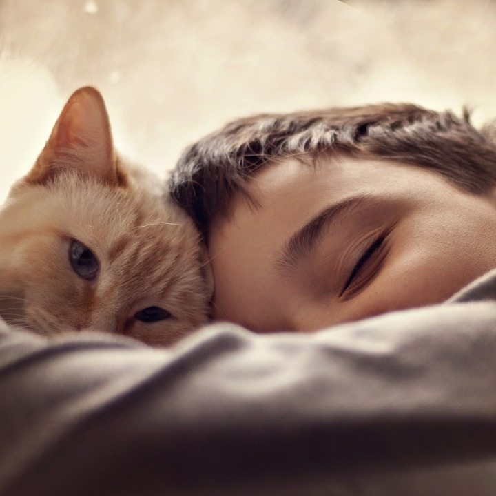 Больше сна: ключ к снижению импульсивного поведения у детей