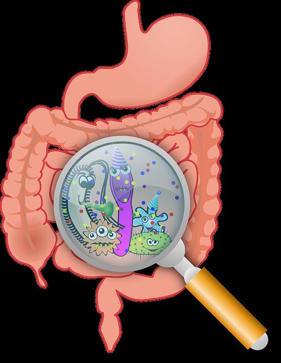 Как консерванты влияют на микробиом кишечника