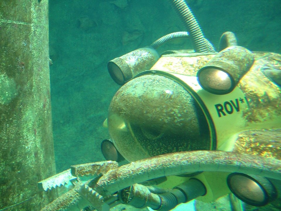 Орган чувств рыбы - ключ к улучшению навигационных навыков подводных роботов