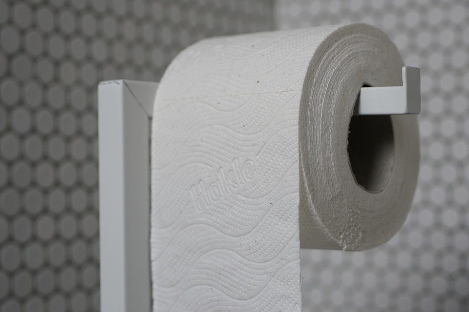 Как использовать втулки от туалетной бумаги